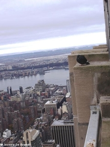 2009_11_15 NY 070J Empire State Building panorama