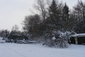 Winter December 2009 04