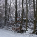 Winter December 2009 05