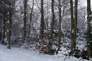 Winter December 2009 05