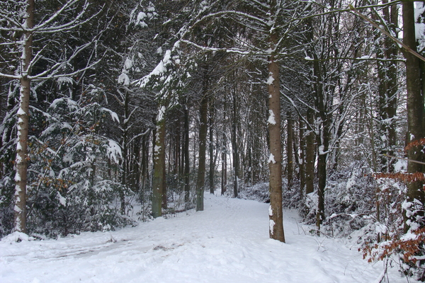 Winter December 2009 06