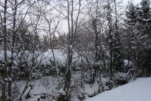 Winter December 2009 07