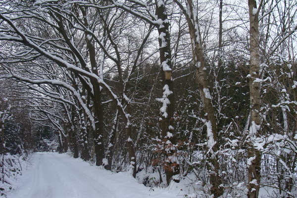 Winter December 2009 10