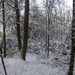 Winter December 2009 23