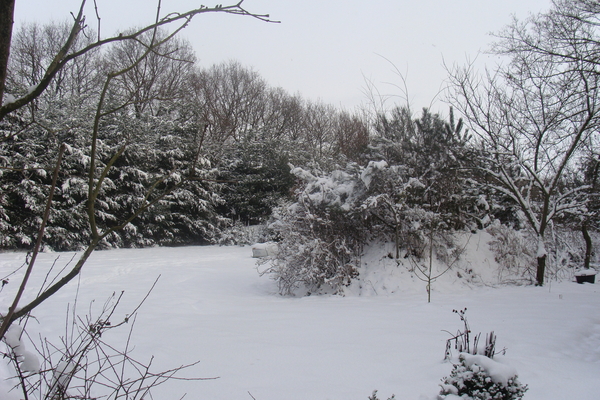 Winter December 2009 29