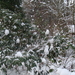 Winter December 2009 30