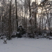 Winter December 2009 32