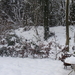 Winter December 2009 35