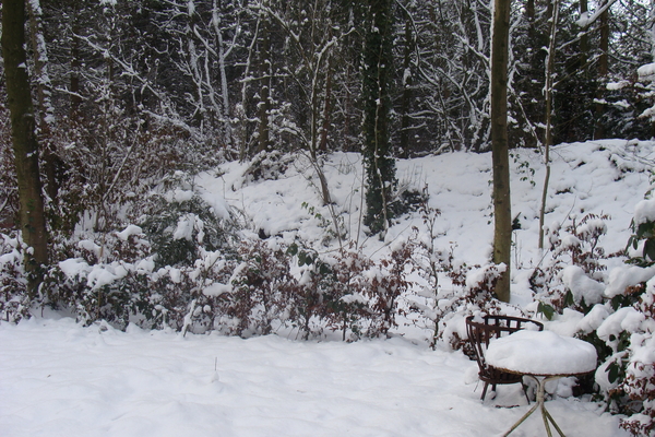 Winter December 2009 35