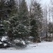 Winter December 2009 38