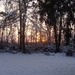 Winter December 2009 39