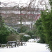 2010-01-06 zoo in de sneeuw (25)