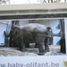 2010-01-06 zoo in de sneeuw (26)