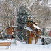 2009-12-18 sneeuw in het park (1)