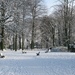 2009-12-18 sneeuw in het park (5)