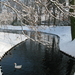 2009-12-18 sneeuw in het park (10)