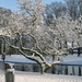 2009-12-18 sneeuw in het park (14)