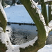2009-12-18 sneeuw in het park (16)