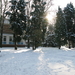 2009-12-18 sneeuw in het park (19)
