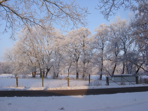 winterfoto's2010 040