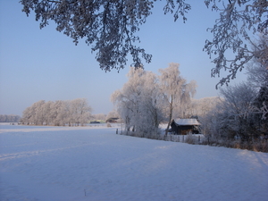winterfoto's2010 052