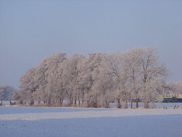 winterfoto's2010 055