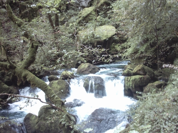 reis naar de vogezen en de jura watervallen 015