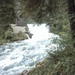 reis naar de vogezen en de jura watervallen 022