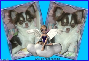 Adel en haar klein engeltje