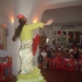 Flamenco  2008 006