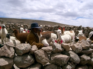 Foto's reis Peru 026