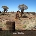 namibië  dag 3 (10)