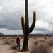 ML is ong 1 m 50 groot; cactus...?