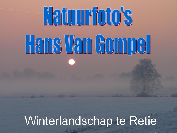 Hans Van Gompel
