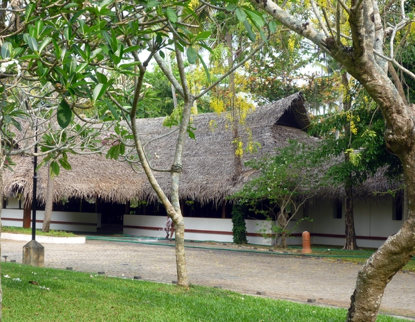 Htel ayurvedique Mararikulam (au sud de Cochin)