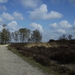 heide 04 001