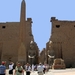 a14 Luxor ingang biskopie