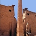 k91 Luxor tempel