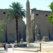 n60 Luxor