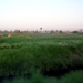 l Luxor landschap