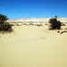 V woestijn087