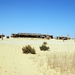 V woestijn138