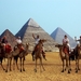 kamelenrit28  met  piramiden