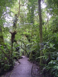 Costa Rica Monteverde (1)