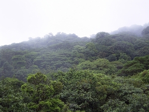 Costa Rica Monteverde (33)