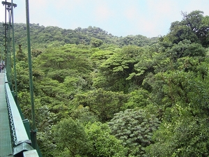 Costa Rica Monteverde (4)