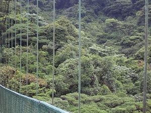 Costa Rica Monteverde (5)