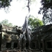 Seam Reap-Angkor (39)