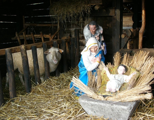 Kerststal 2004 - 33