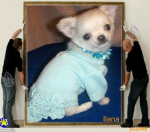 Ilana  in haar eerste kleedje